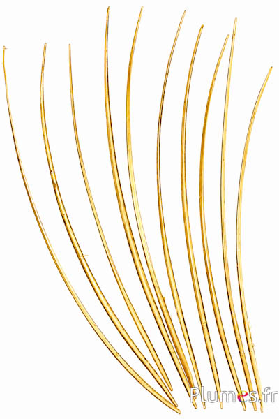 Gans schacht - 25-30 cm - goud